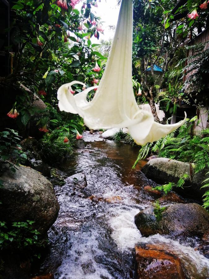 แม่อุ๊ยโฮมสเตย์&Mae Uai Homestay Ban Pok Nai エクステリア 写真